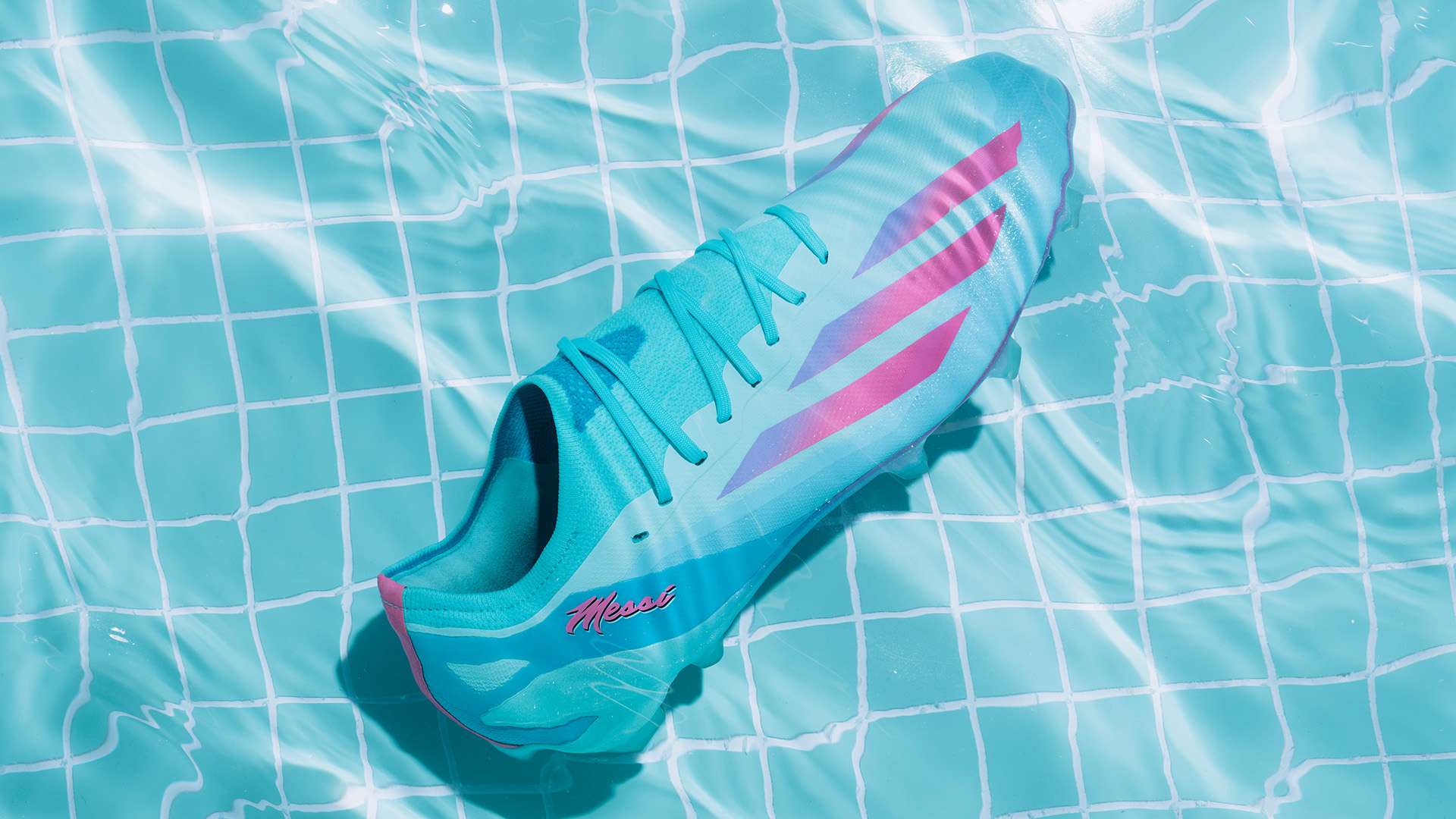 属于他们的 属于他们的